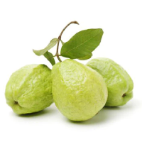 Guava